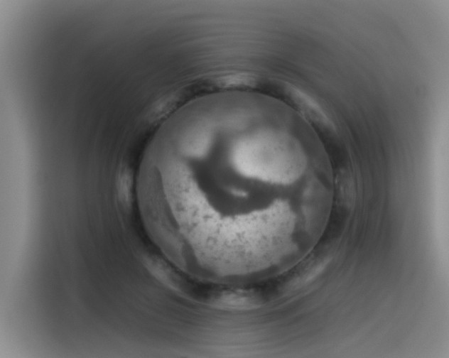 X0000115580550200911171012