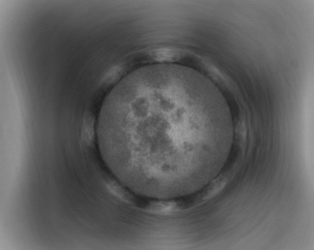 X0000115580554200911171012