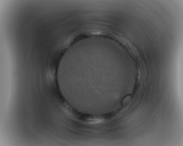 X0000115580559200911171012