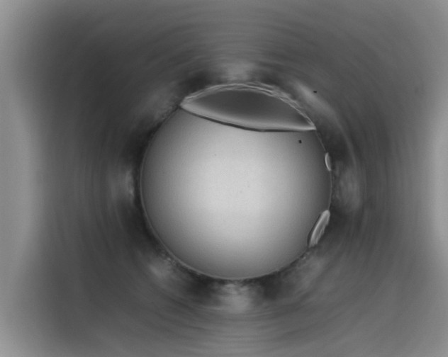 X0000115580562200911171012