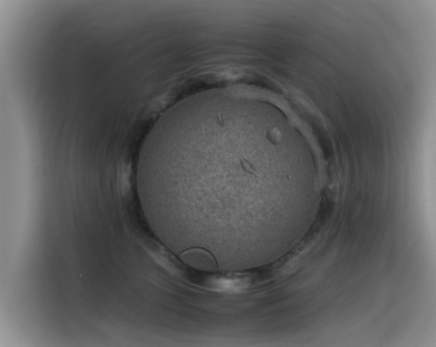 X0000115580563200911171012