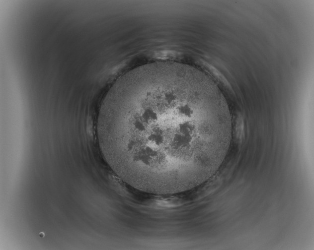 X0000115580569200911171012