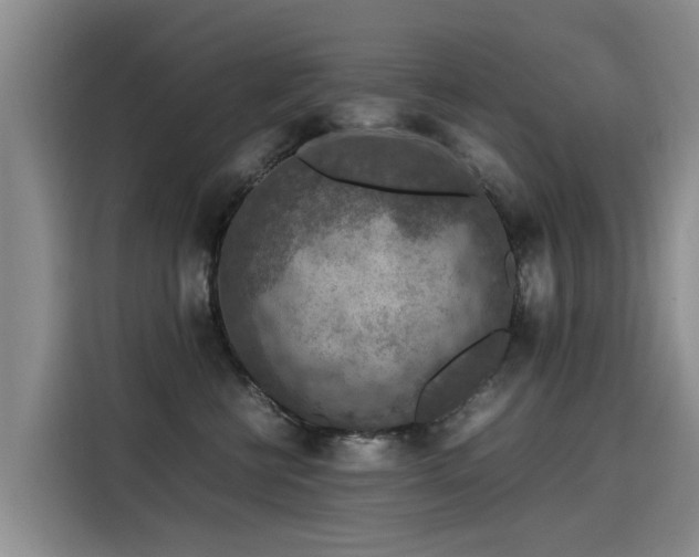 X0000115580570200911171012