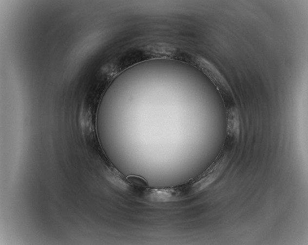 X0000115580573200911171012