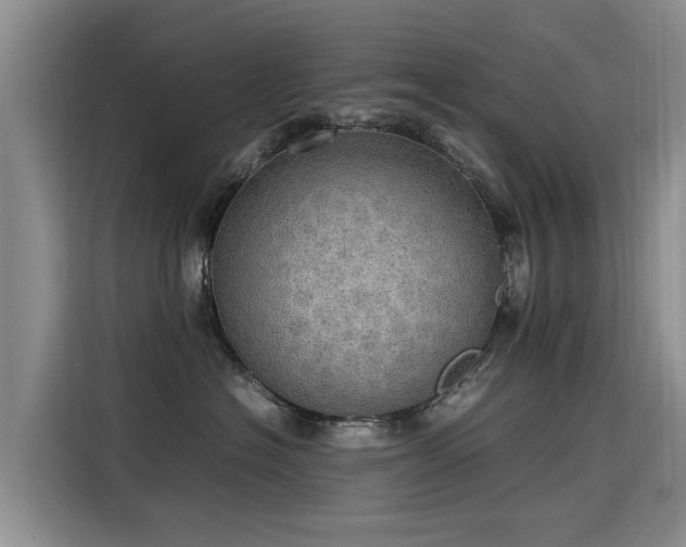 X0000115580574200911171012