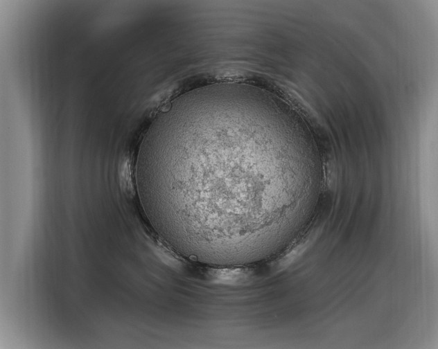 X0000115580575200911171012