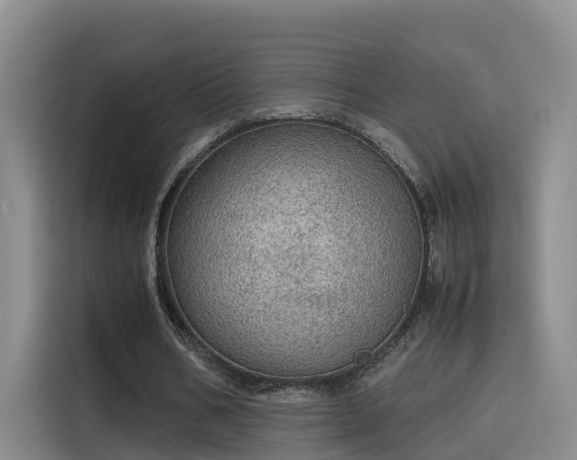 X0000115580578200911171011