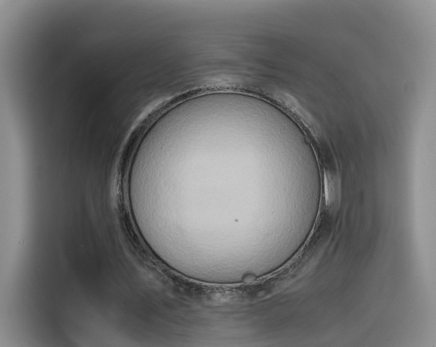 X0000115580579200911171011