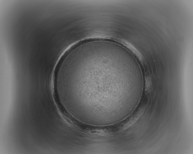 X0000115580580200911171011