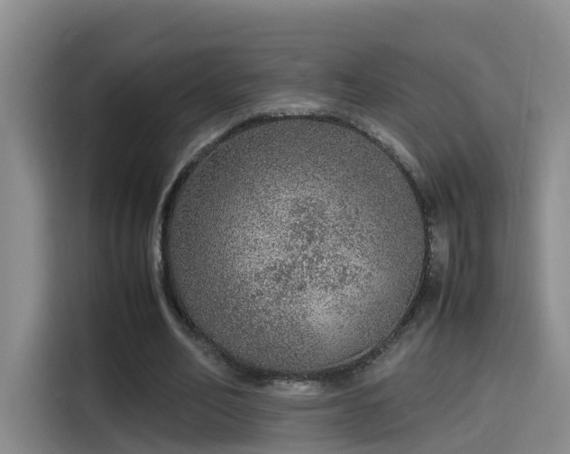 X0000115580582200911171011