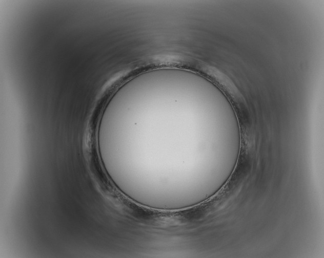 X0000115580583200911171011