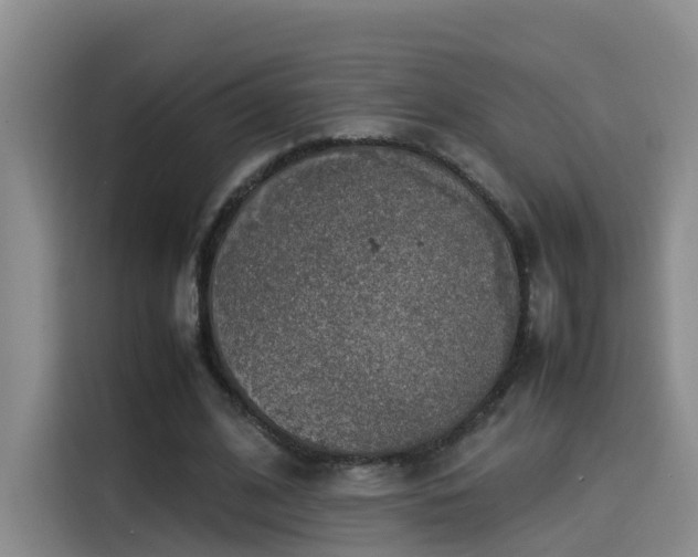 X0000115580584200911171011