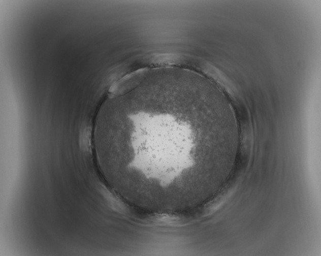 X0000115580585200911171011