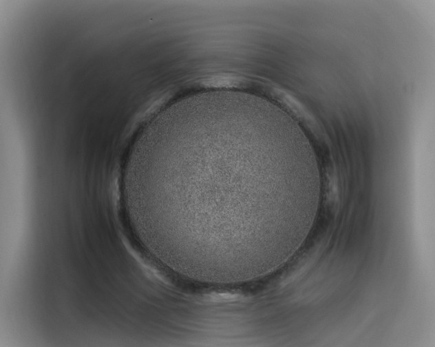 X0000115580586200911171011