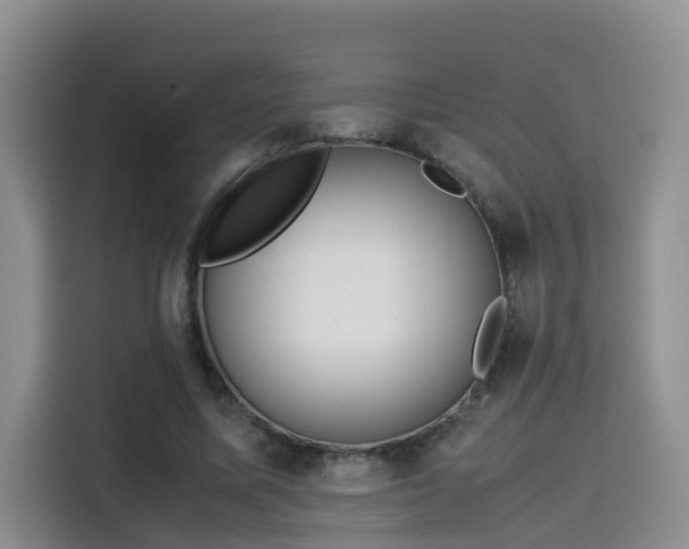 X0000115580587200911171011