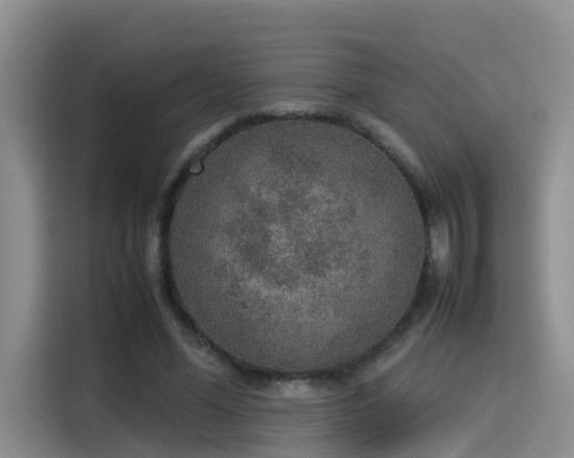 X0000115580588200911171011