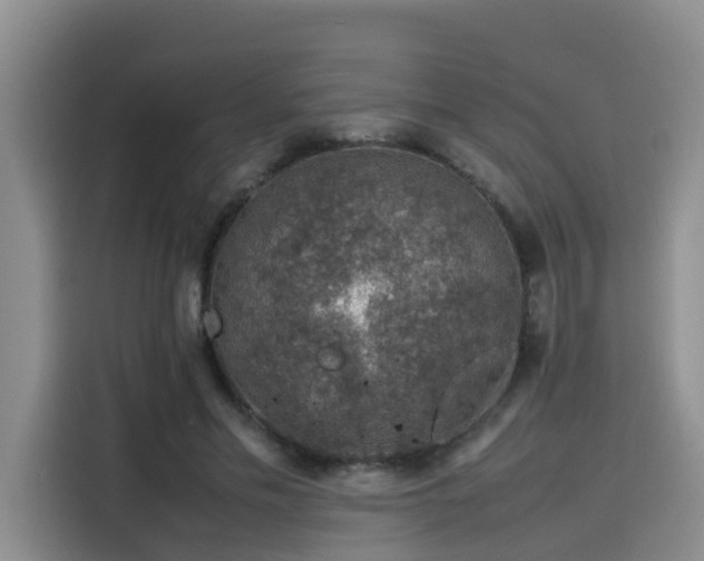 X0000115580589200911171011