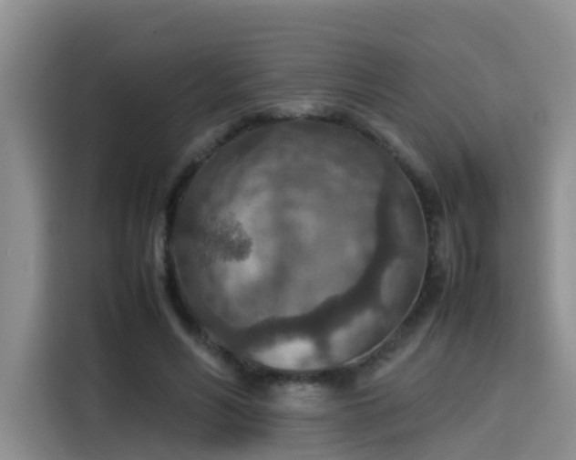 X0000115580590200911171011