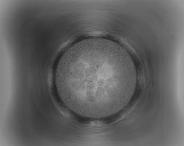 X0000115580591200911171011