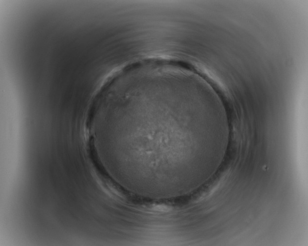 X0000115580592200911171011