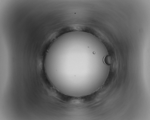 X0000115580595200911171011