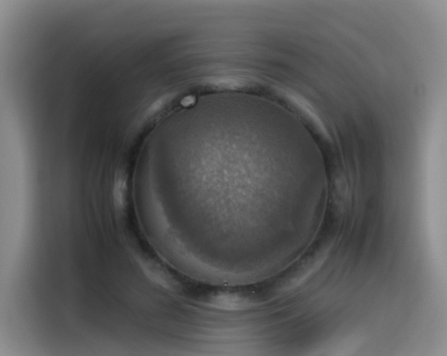 X0000115580596200911171011