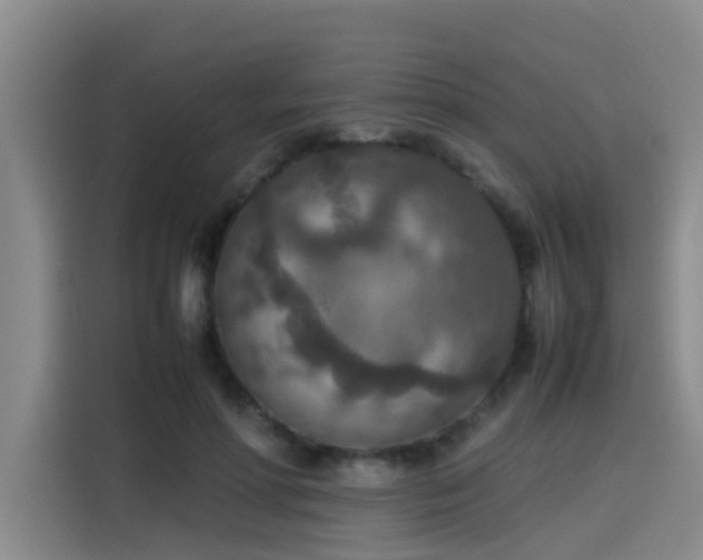 X0000115580598200911171011