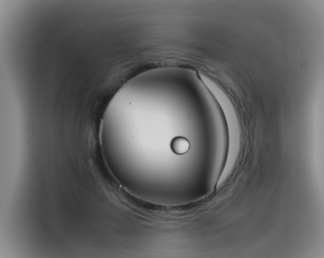 X0000115580599200911171011