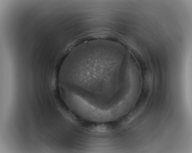 X0000115580600200911171011