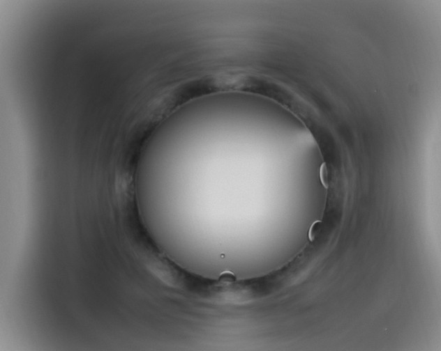 X0000115580601200911171011