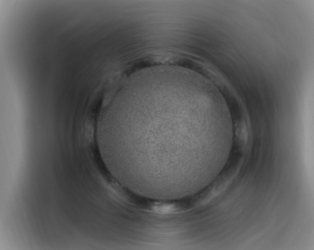 X0000115580602200911171011