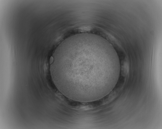 X0000115580608200911171011