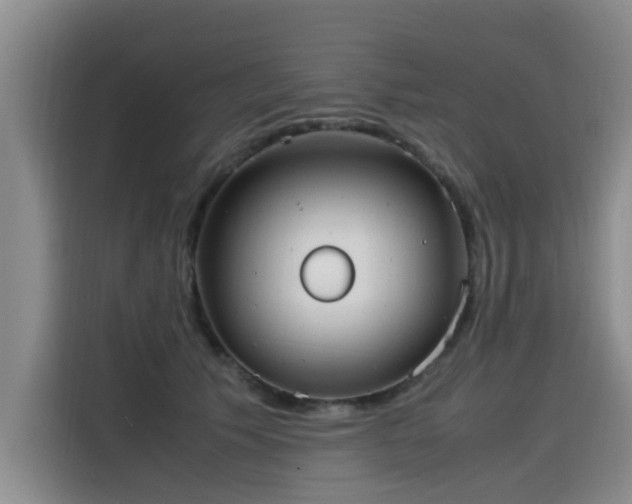 X0000115580609200911171011