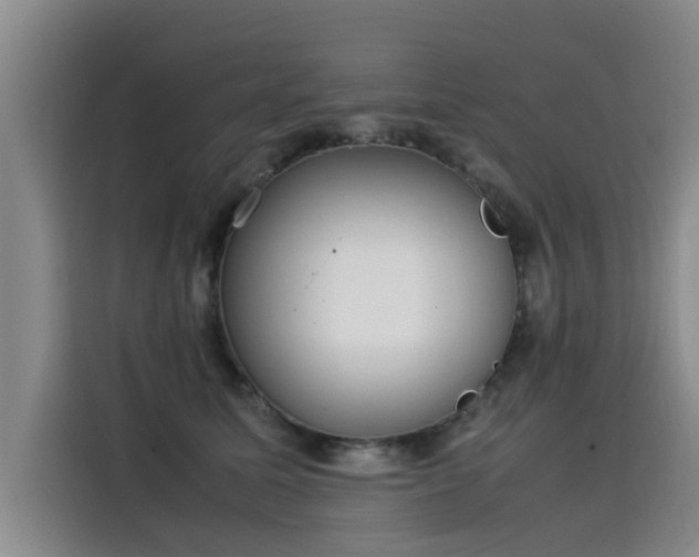 X0000115580611200911171011