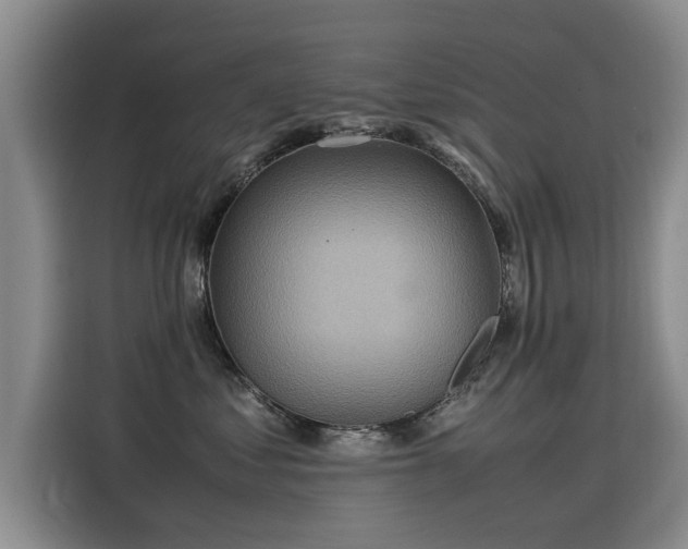 X0000115580621200911171011