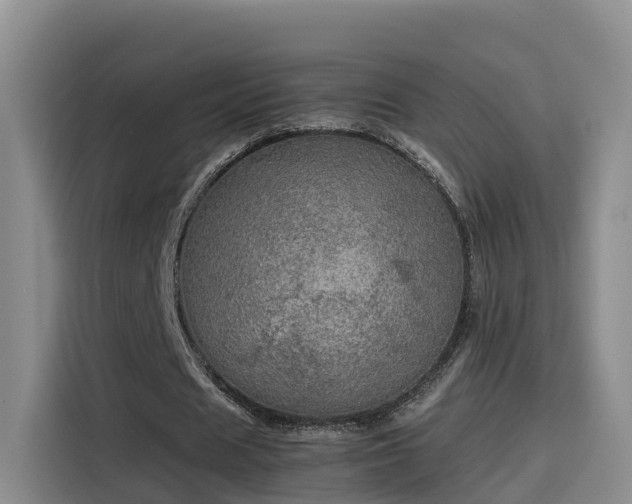 X0000115580625200911171010