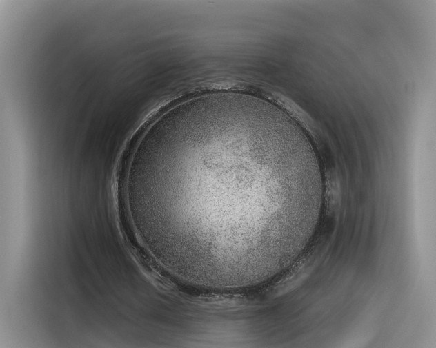 X0000115580626200911171010