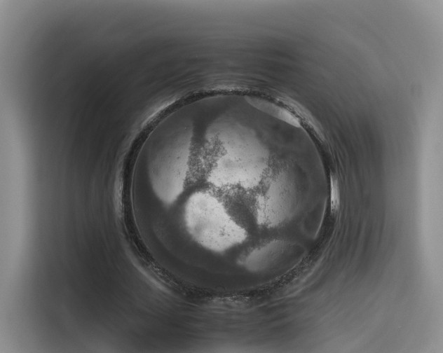 X0000115580627200911171010