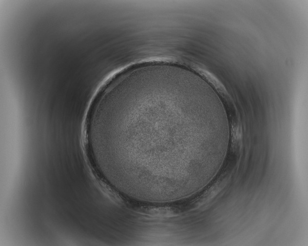 X0000115580628200911171010