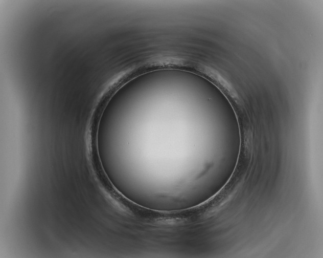 X0000115580629200911171010