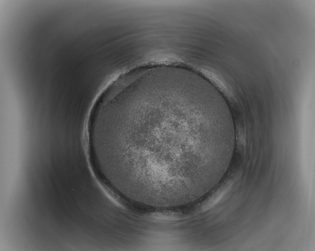 X0000115580630200911171010