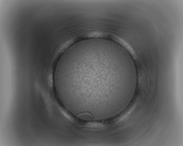 X0000115580633200911171010