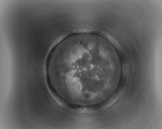 X0000115580634200911171010