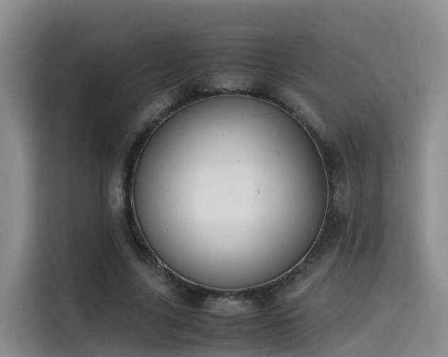 X0000115580635200911171010