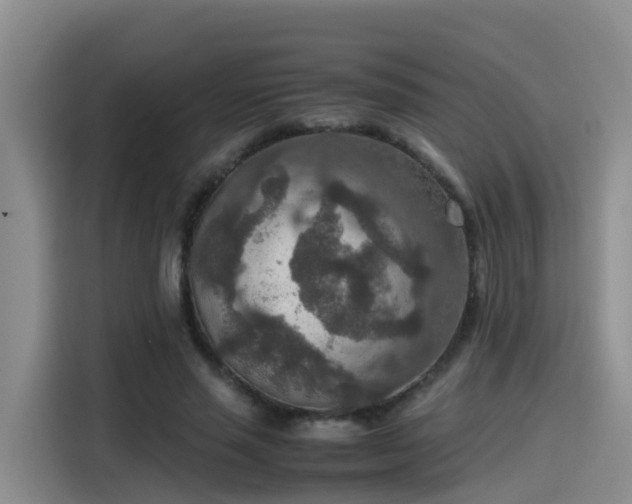 X0000115580637200911171010