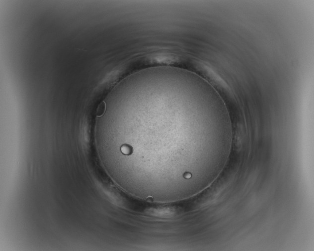 X0000115580639200911171010