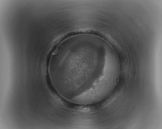 X0000115580640200911171010