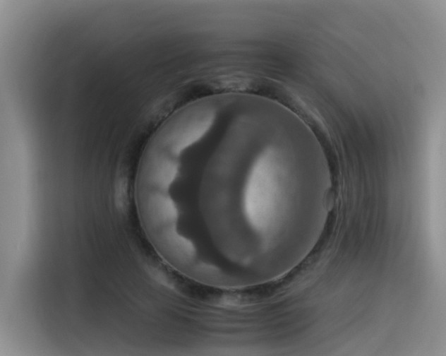 X0000115580641200911171010