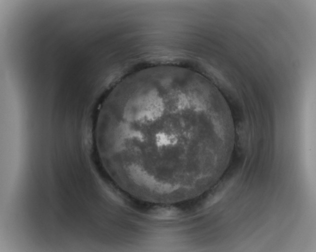 X0000115580642200911171010