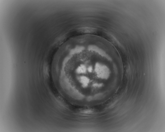 X0000115580643200911171010